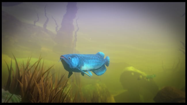 Feed And Grow: Fish PC Screenshot