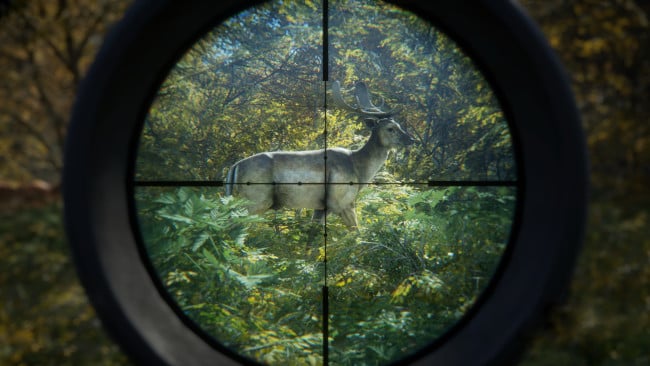 theHunter: Call of the Wild PC Screenshot