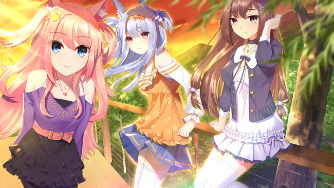 Fluffy Store PC Screenshot