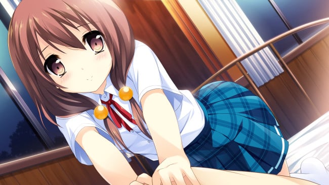 If My Heart Had Wings -flight Diary- PC Screenshot