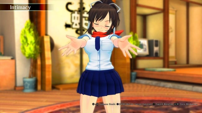 Senran Kagura Burst Re:Newal PC Screenshot