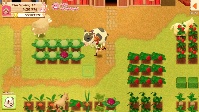 Harvest Moon: Light Of Hope Special Edition PC Screenshot