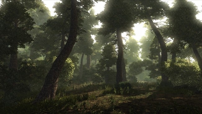 Risen PC Screenshot