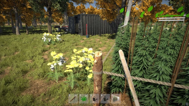 Weed Farmer Simulator PC Screenshot