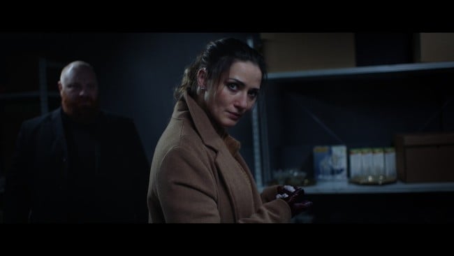 She Sees Red – Interactive Movie PC Screenshot
