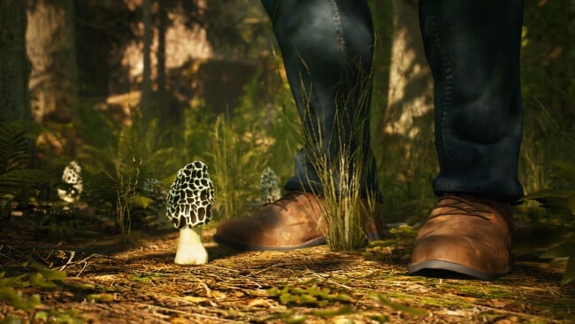 Morels: The Hunt PC Screenshot