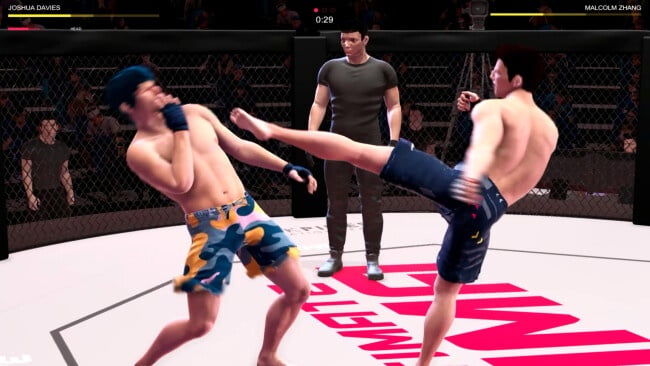 Ultimate MMA PC Screenshot