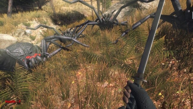 Forest Spiders PC Screenshot