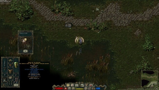 Divine Divinity PC Screenshot