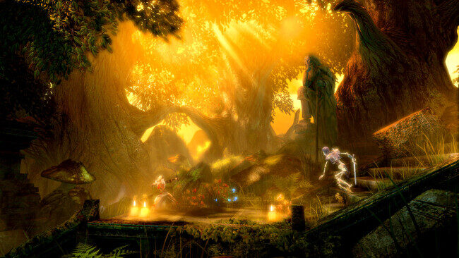 Trine Enchanted Edition PC Screenshot
