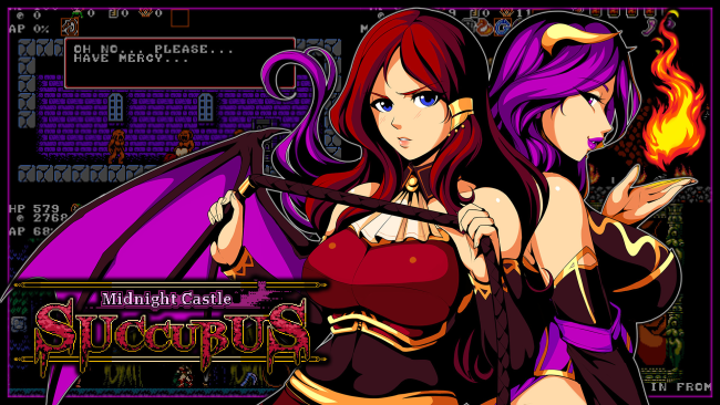 Midnight Castle Succubus DX PC Screenshot