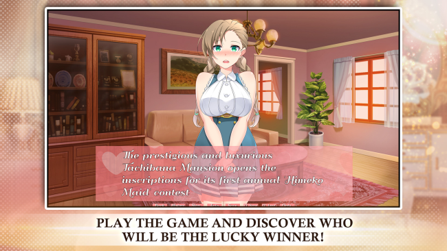 Himeko Maid PC Screenshot