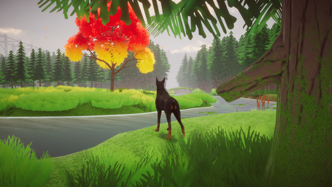 Django PC Screenshot