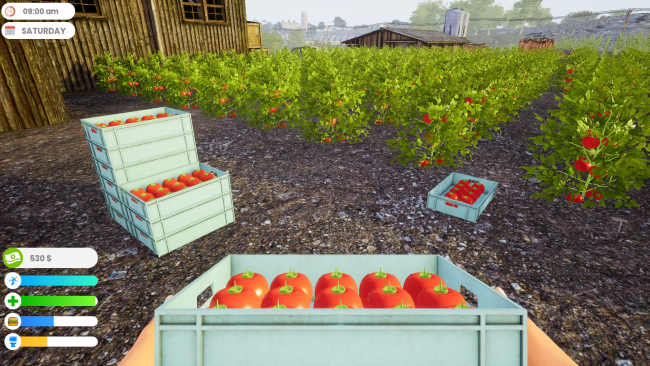 Farmer Life Simulator PC Screenshot