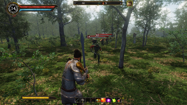 Legends of Ellaria PC Screenshot