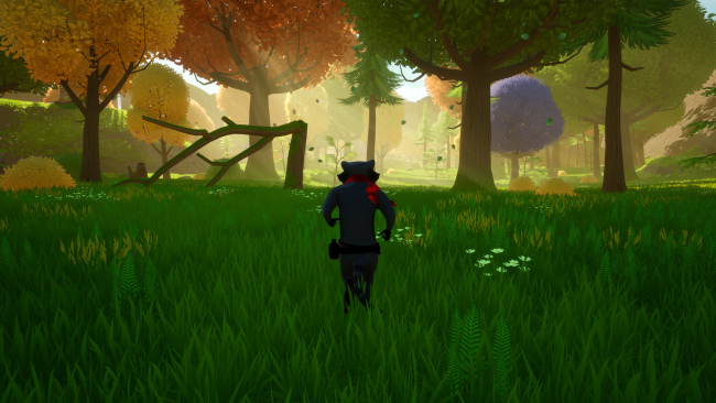 Raccoon Arrival PC Screenshot