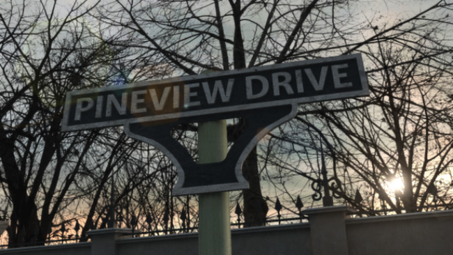 Pineview Drive Free Download