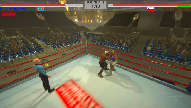 Art of Boxing PC Screenshot