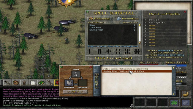 Eschalon: Book II PC Screenshot