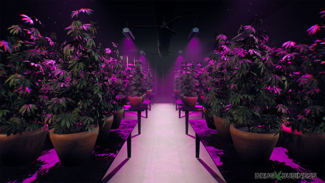 Drug Business PC Screenshot