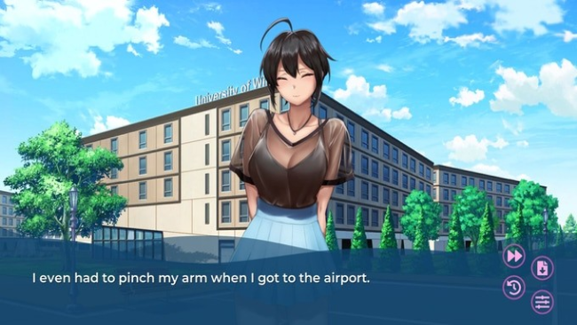 Swimmer Admiration PC Screenshot