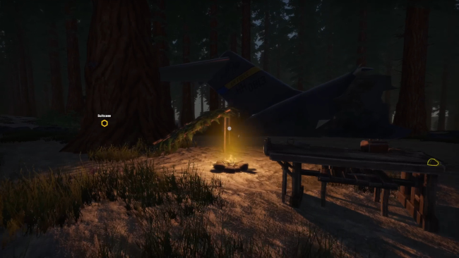 Missing Plane: Survival PC Screenshot