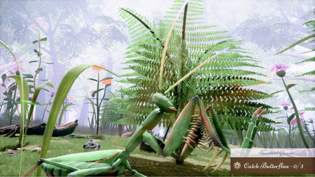 Nature and Life – Drunk on Nectar PC Screenshot