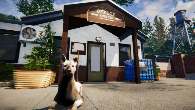 Animal Shelter PC Screenshot