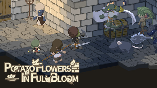 Potato Flowers In Full Bloom Free Download