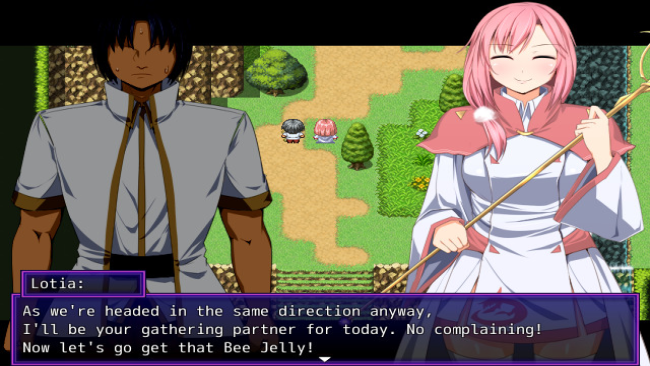 Dark Hero Party PC Screenshot