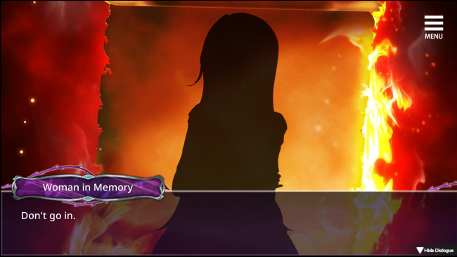 Dark Secrets Of Showbiz PC Screenshot