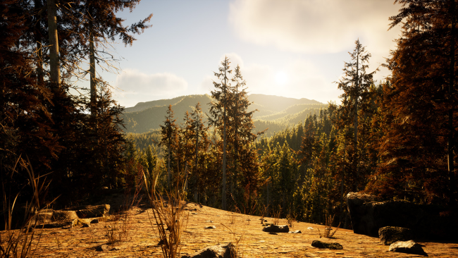 Gold Hunter PC Screenshot