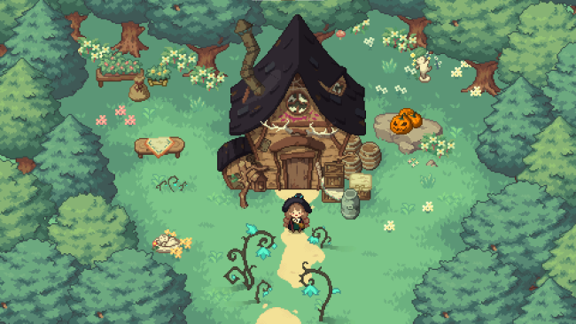 Little Witch in the Woods PC Screenshot