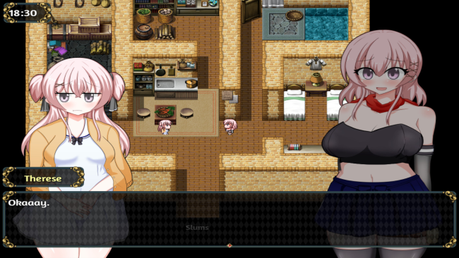 Sylphy And The Sleepless Island PC Screenshot