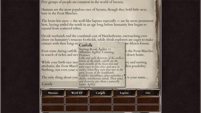 Corruption Of Champions II PC Screenshot