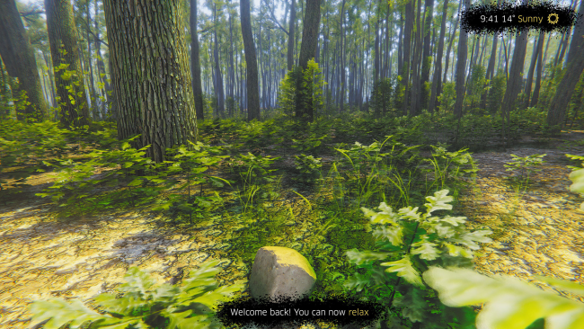 Mindfulness Simulator – ASMR Meditation Game PC Screenshot