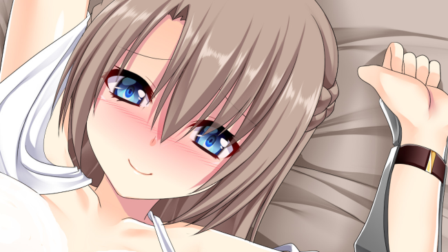 The Harem Life Of Peerless Swordsmen PC Screenshot