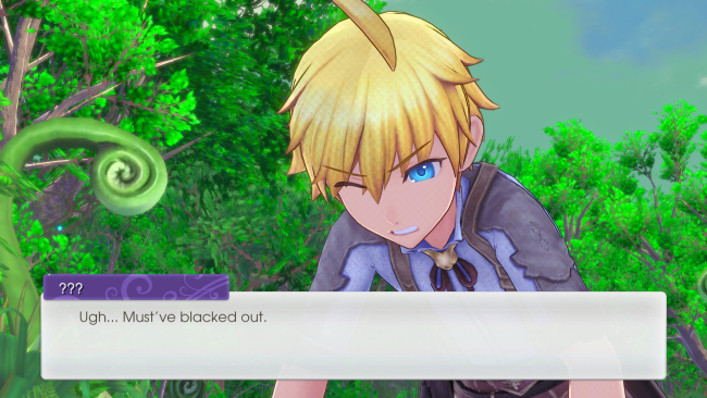 Rune Factory PC Screenshot