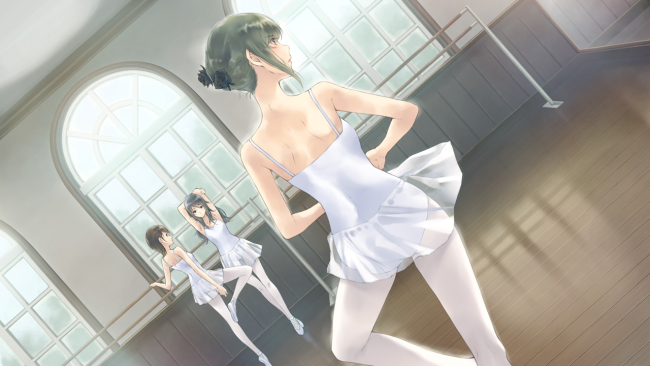 Flowers -Le volume sur ete- PC Screenshot