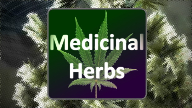 Medicinal Herbs – Cannabis Grow Simulator Free Download