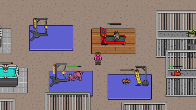 Nova Odessa – The Demon Trainer PC Screenshot