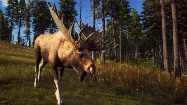 Way of the Hunter PC Screenshot