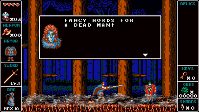 Odallus: The Dark Call PC Screenshot