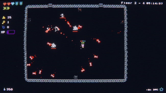 Tiny Rogues PC Screenshot