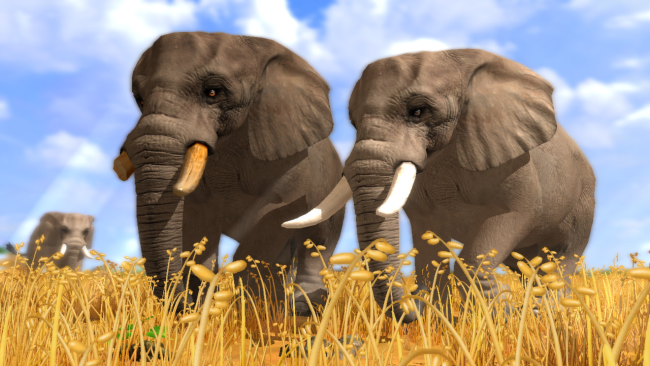 Wildlife Park PC Screenshot