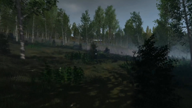 ENDGAME: Survival PC Screenshot