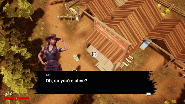 I’m a Cowboy: Western Shooter PC Screenshot