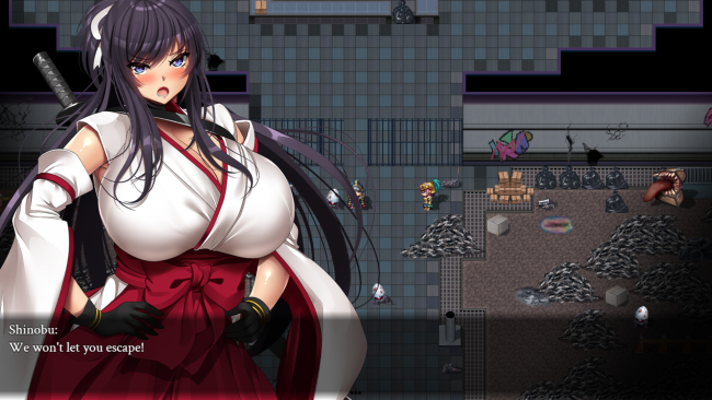 Kunoichi Demon Slayers PC Screenshot