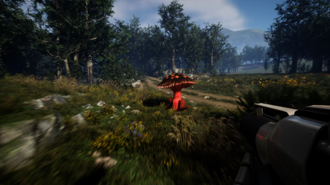 Forest Frenzy PC Screenshot
