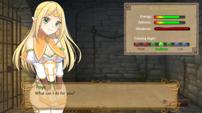 Slave Lord: Elven Conquest PC Screenshot
